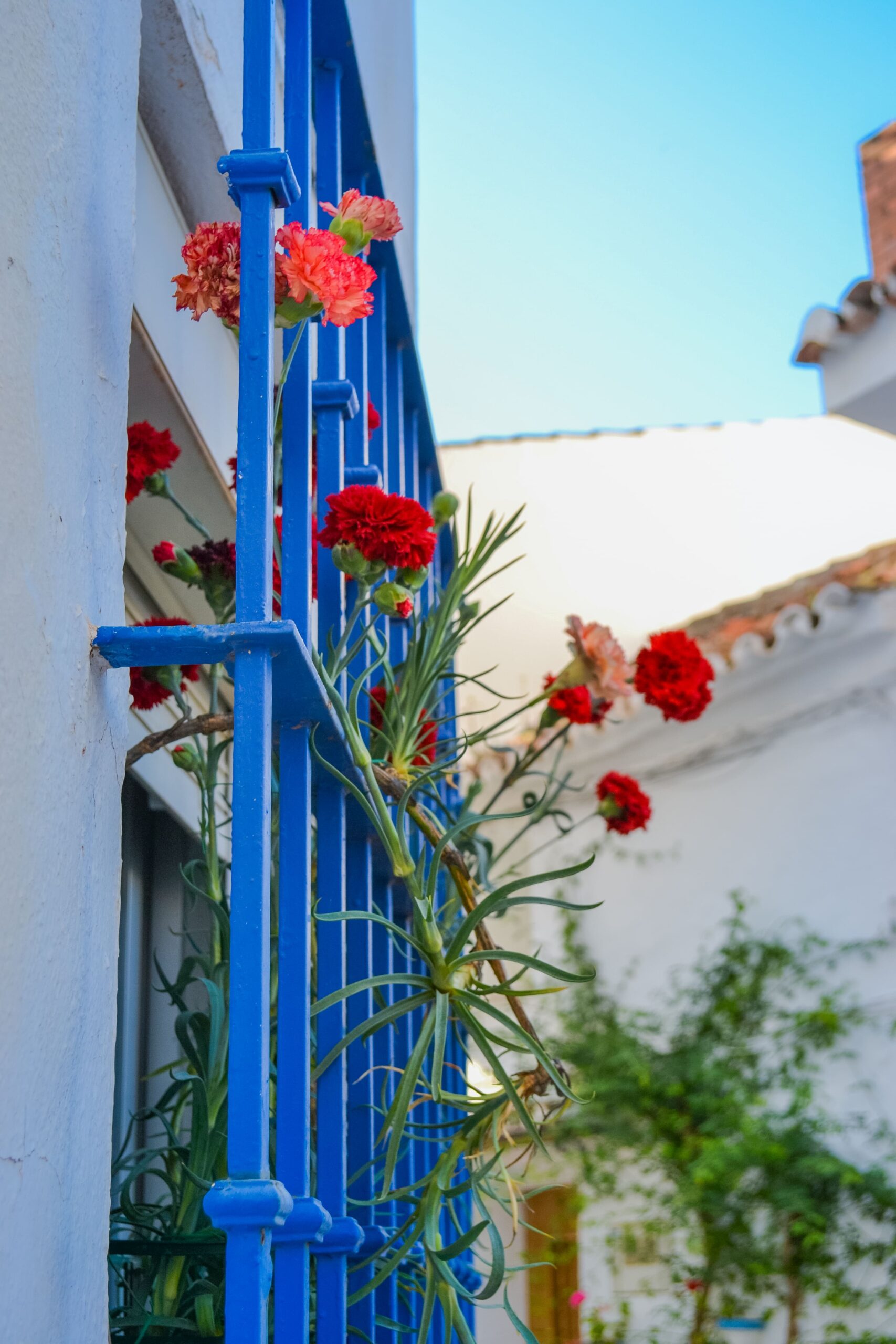 Fotografía de la fachada de una casa andaluza decorada con flores.